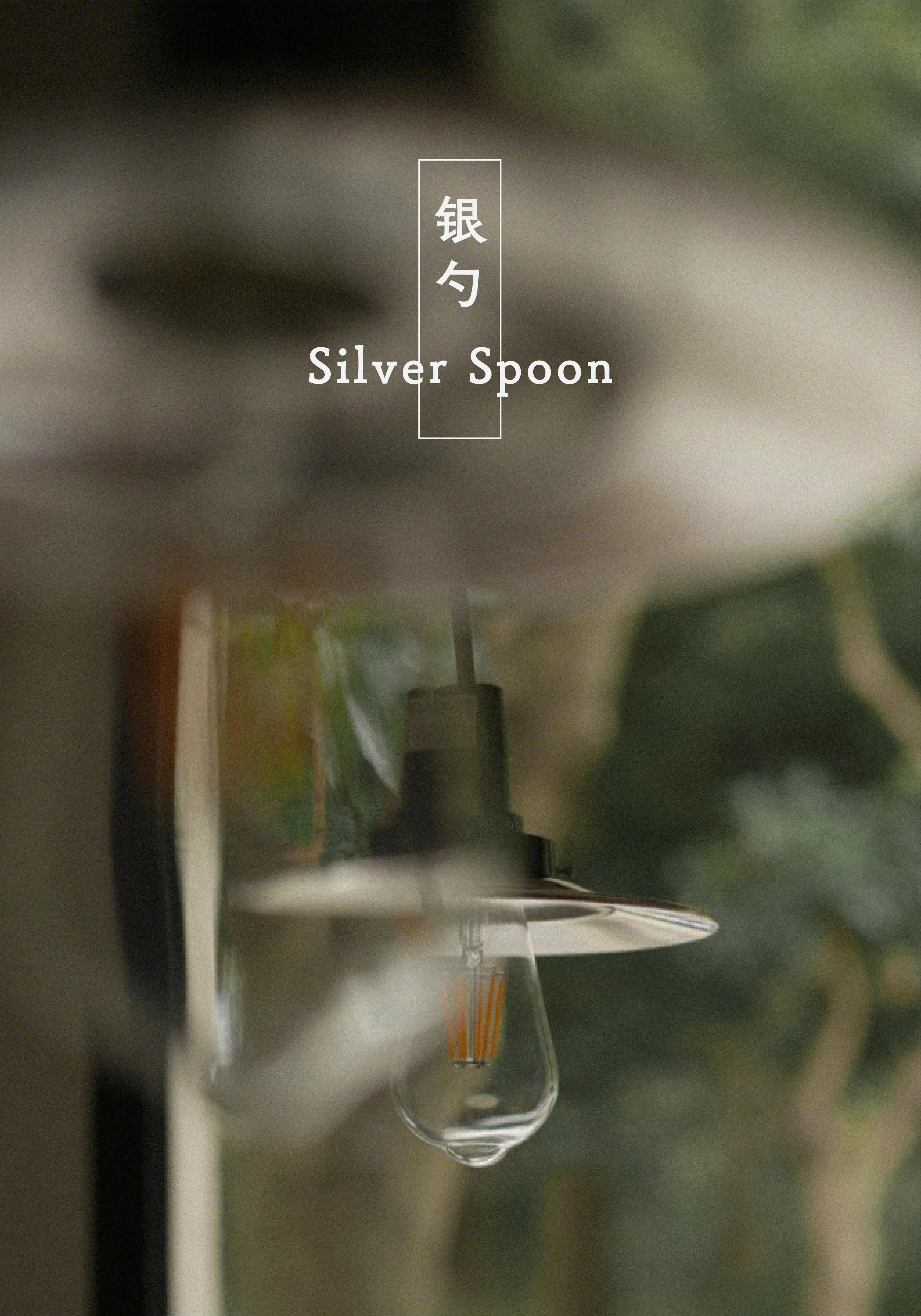 Silver Spoon Cafe
